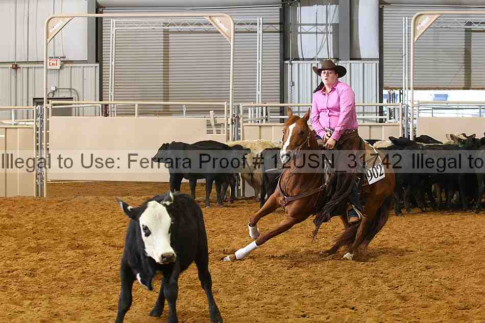Proof 12usn_31742