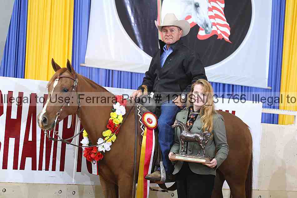 Proof 12usn_31766