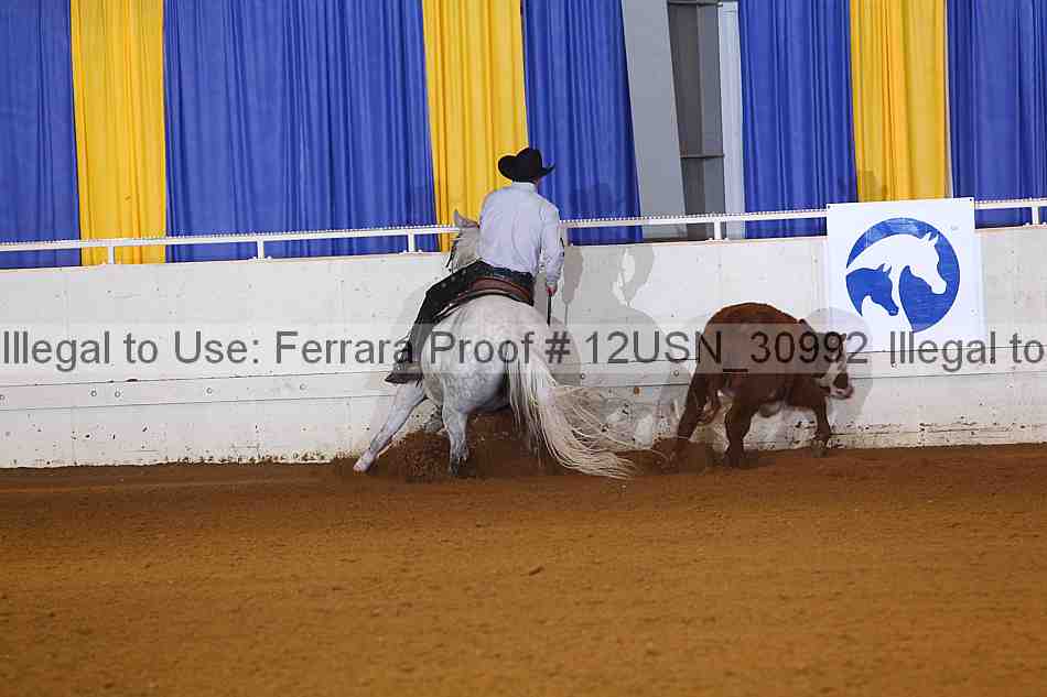 Proof 12usn_30992