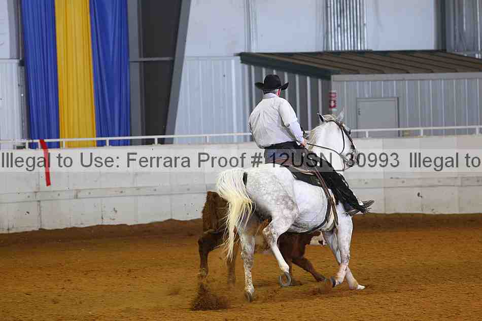 Proof 12usn_30993