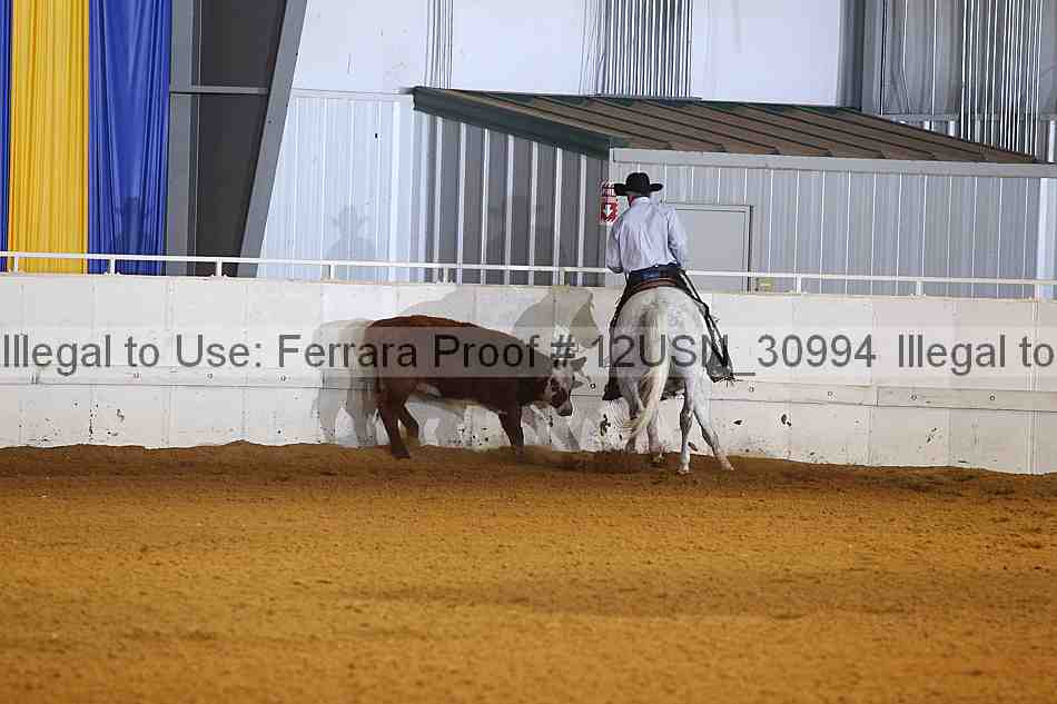 Proof 12usn_30994