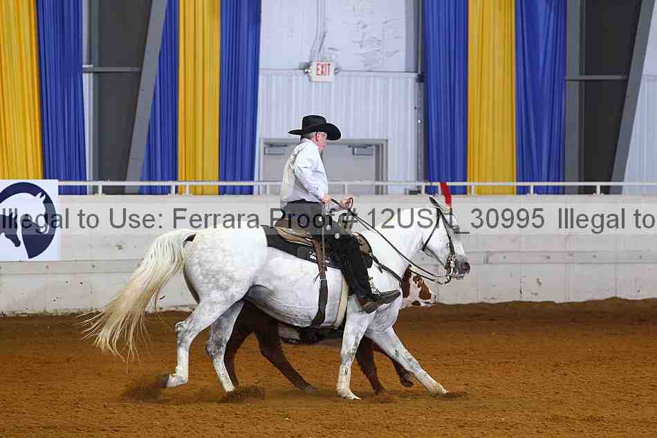 Proof 12usn_30995