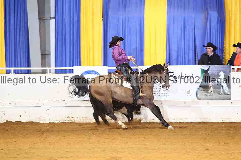 Proof 12usn_31002
