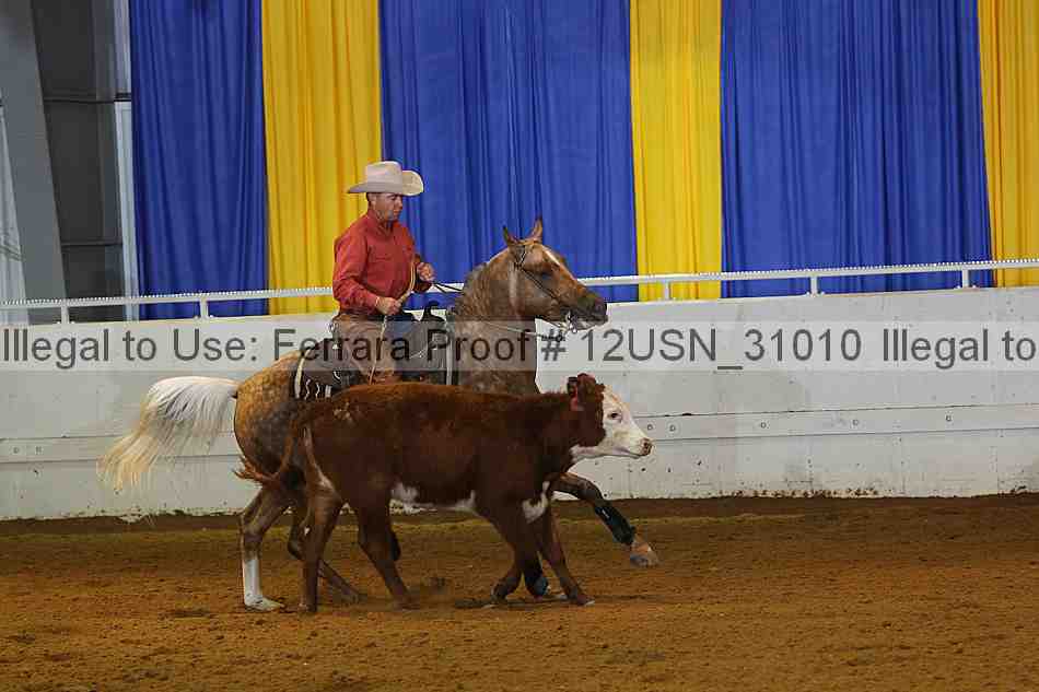 Proof 12usn_31010