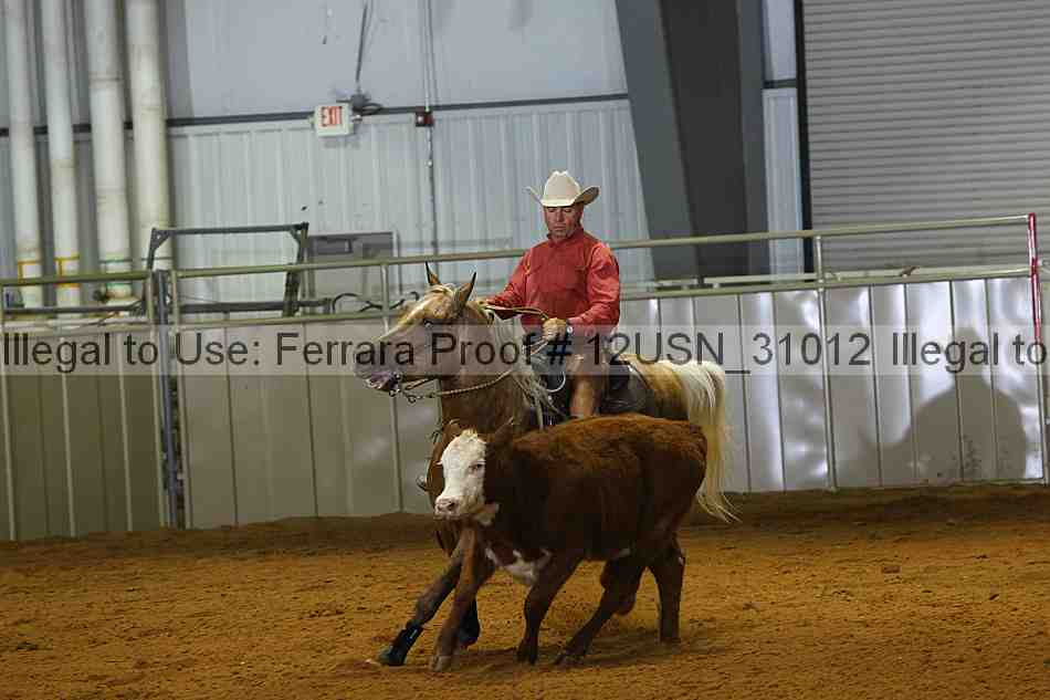 Proof 12usn_31012