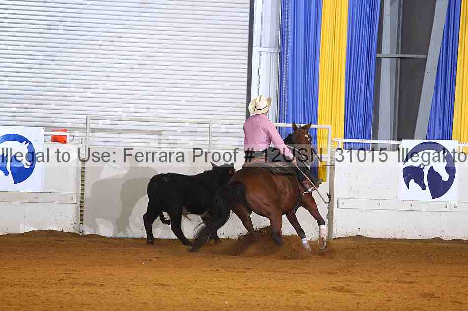 Proof 12usn_31015