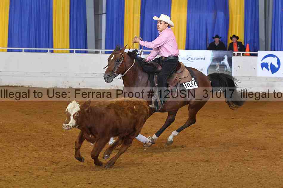 Proof 12usn_31017