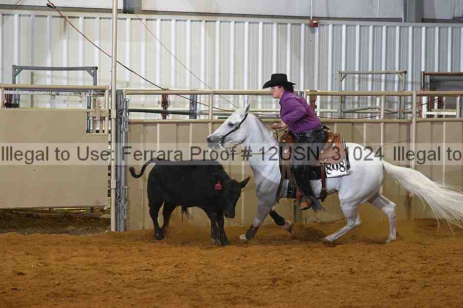 Proof 12usn_31024