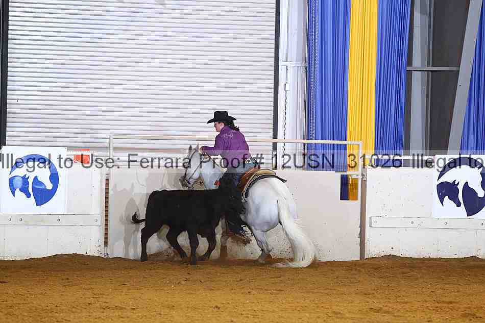 Proof 12usn_31026