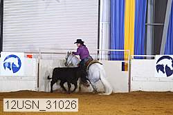 12usn_31026 proof