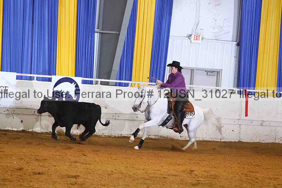 Proof 12usn_31027