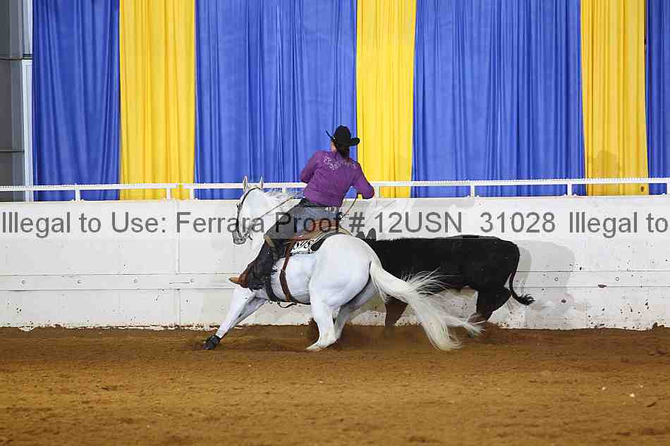 Proof 12usn_31028