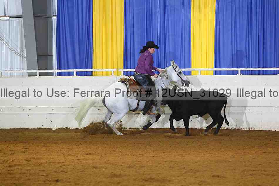 Proof 12usn_31029