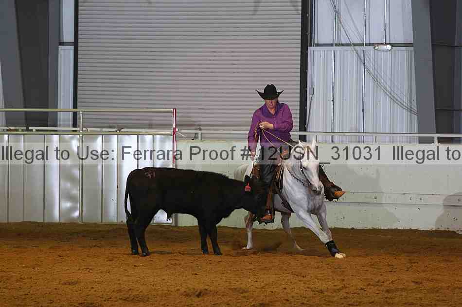 Proof 12usn_31031