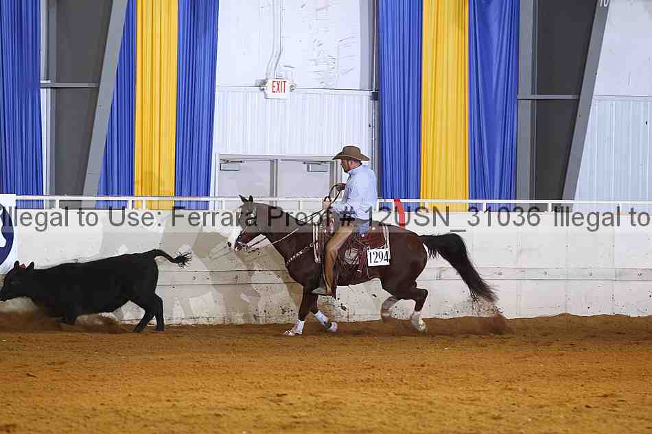 Proof 12usn_31036
