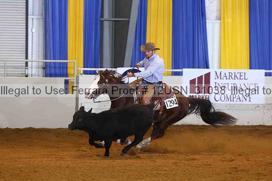 Proof 12usn_31038
