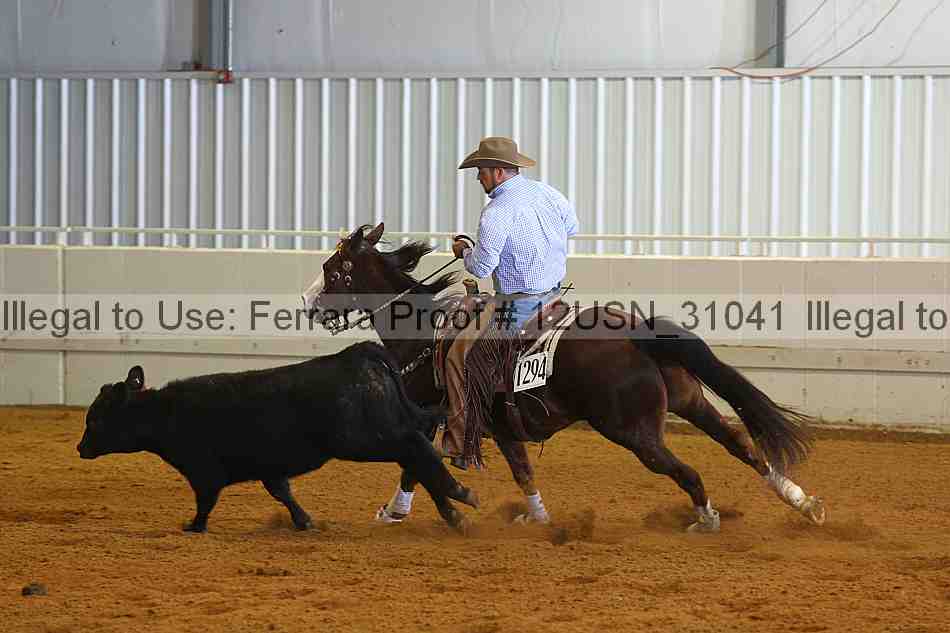 Proof 12usn_31041