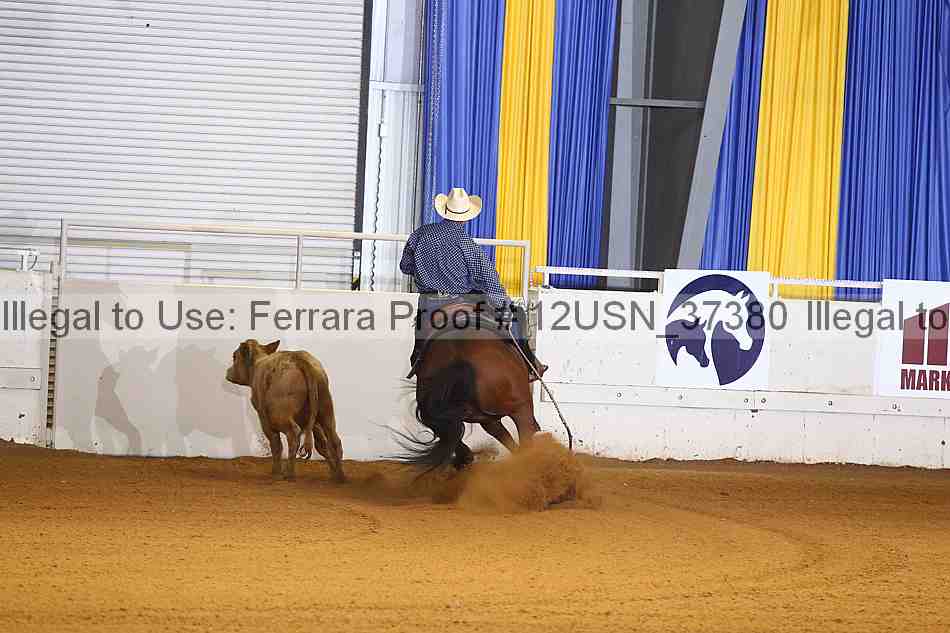 Proof 12usn_37380