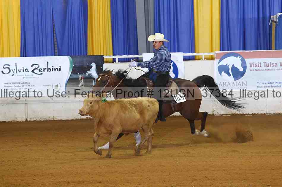 Proof 12usn_37384