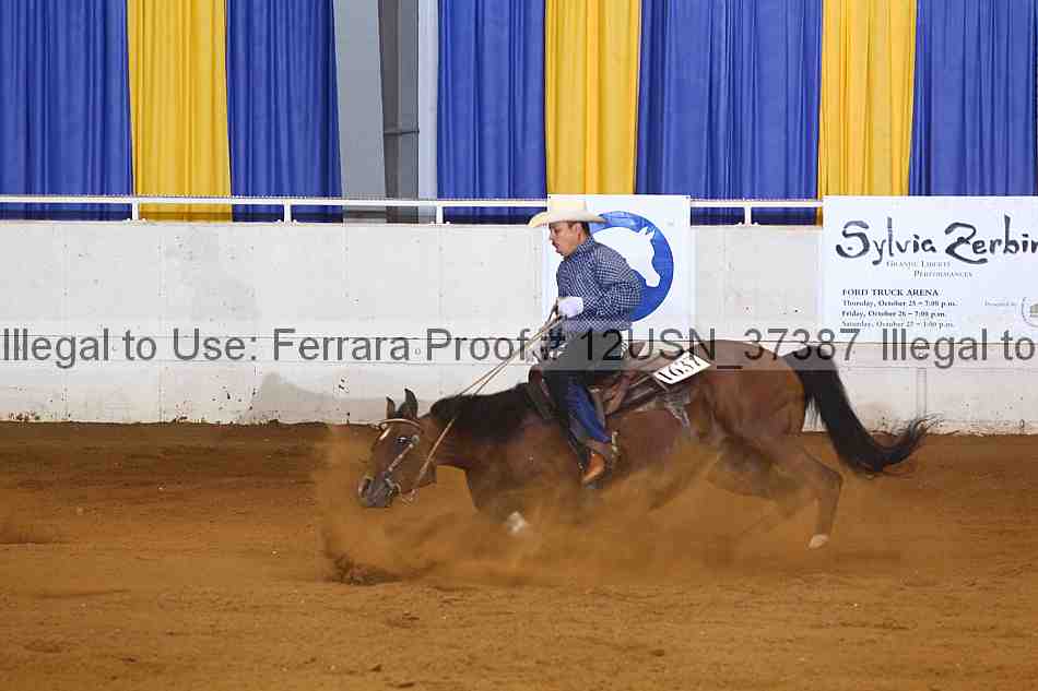 Proof 12usn_37387