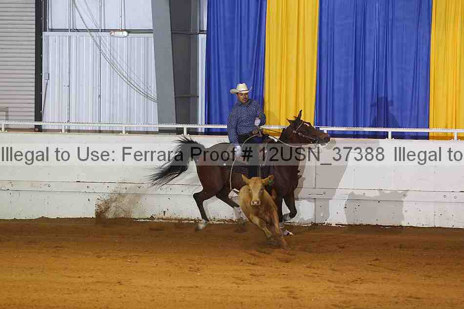 Proof 12usn_37388