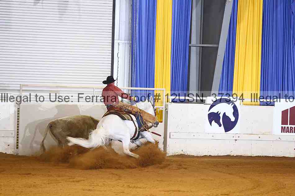 Proof 12usn_37394