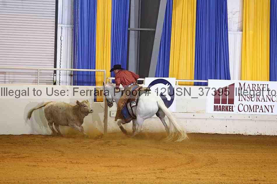Proof 12usn_37395