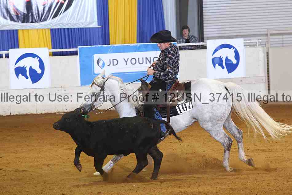 Proof 12usn_37415