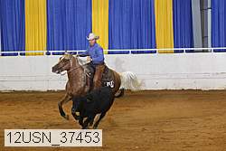 12usn_37453 proof