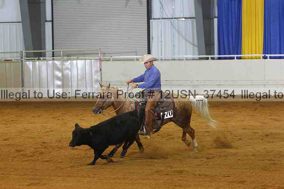 Proof 12usn_37454