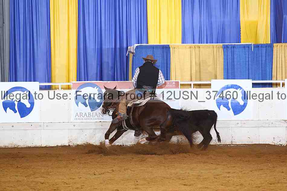 Proof 12usn_37460