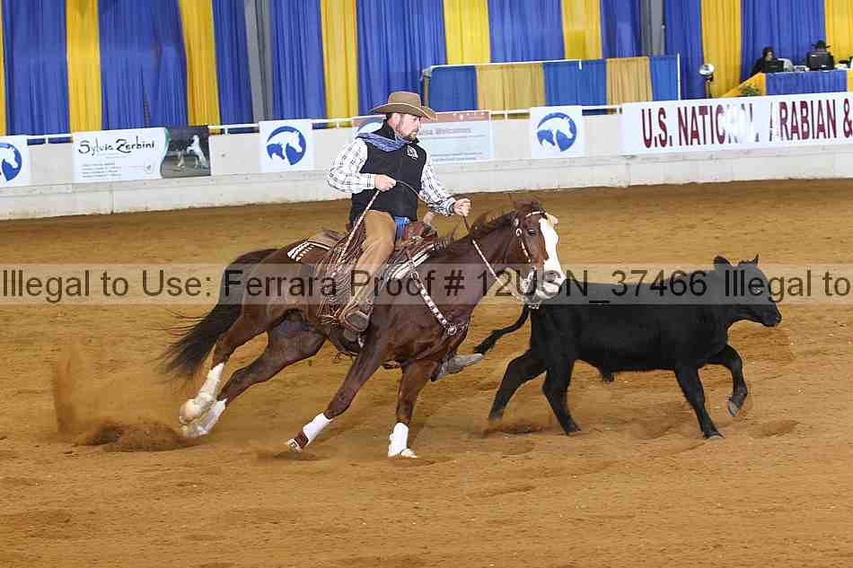 Proof 12usn_37466
