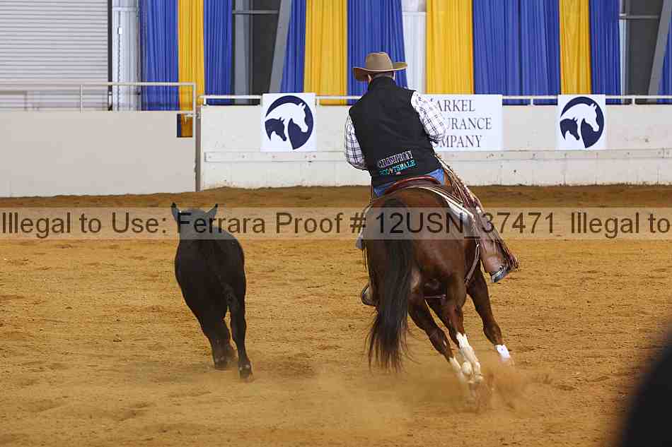 Proof 12usn_37471