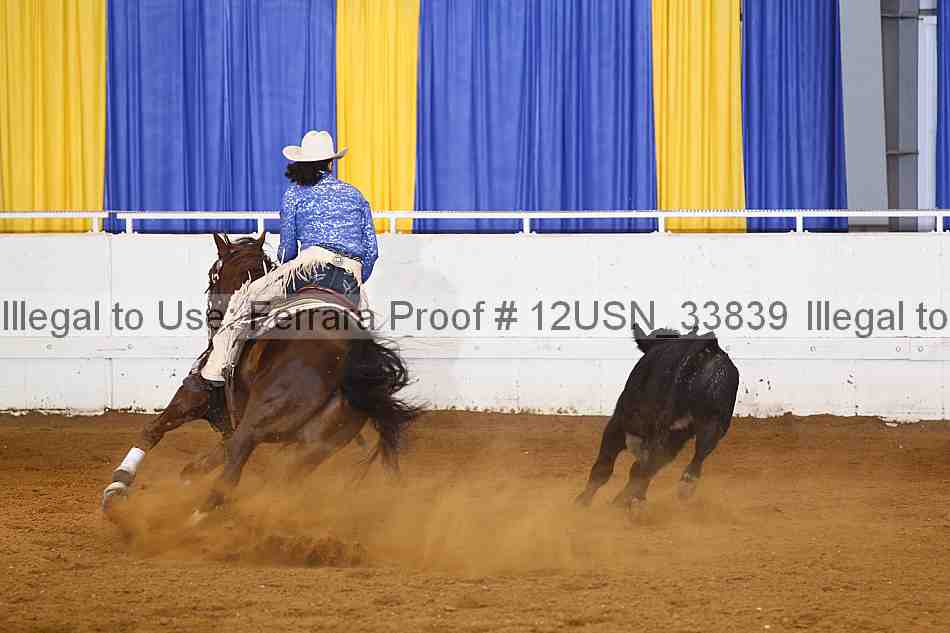 Proof 12usn_33839