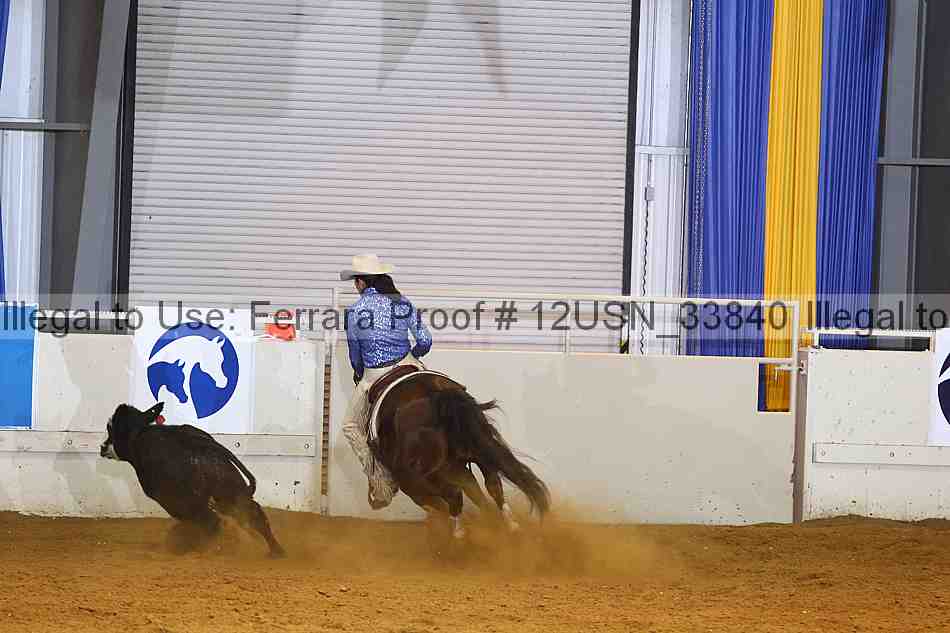 Proof 12usn_33840