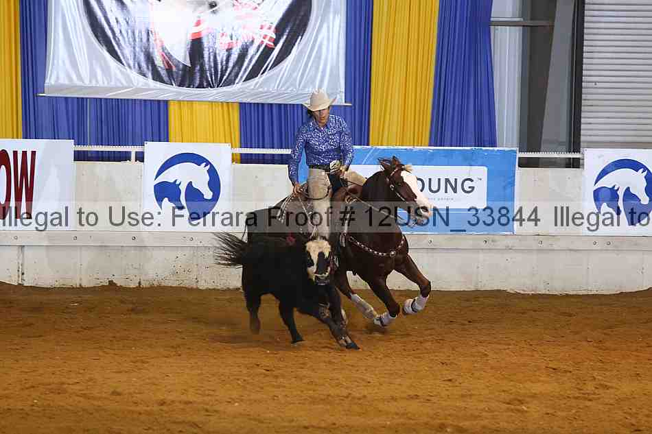 Proof 12usn_33844