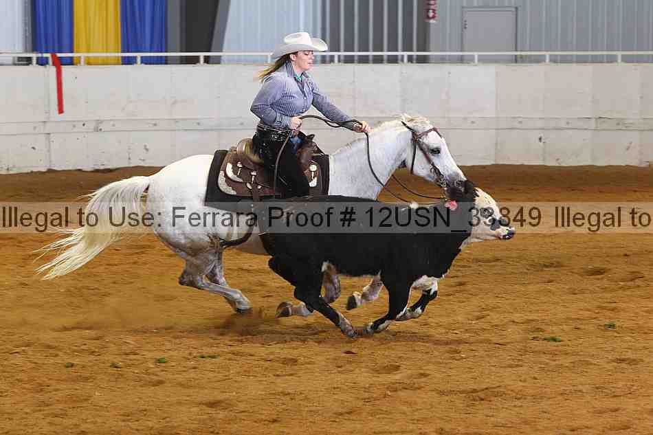 Proof 12usn_33849