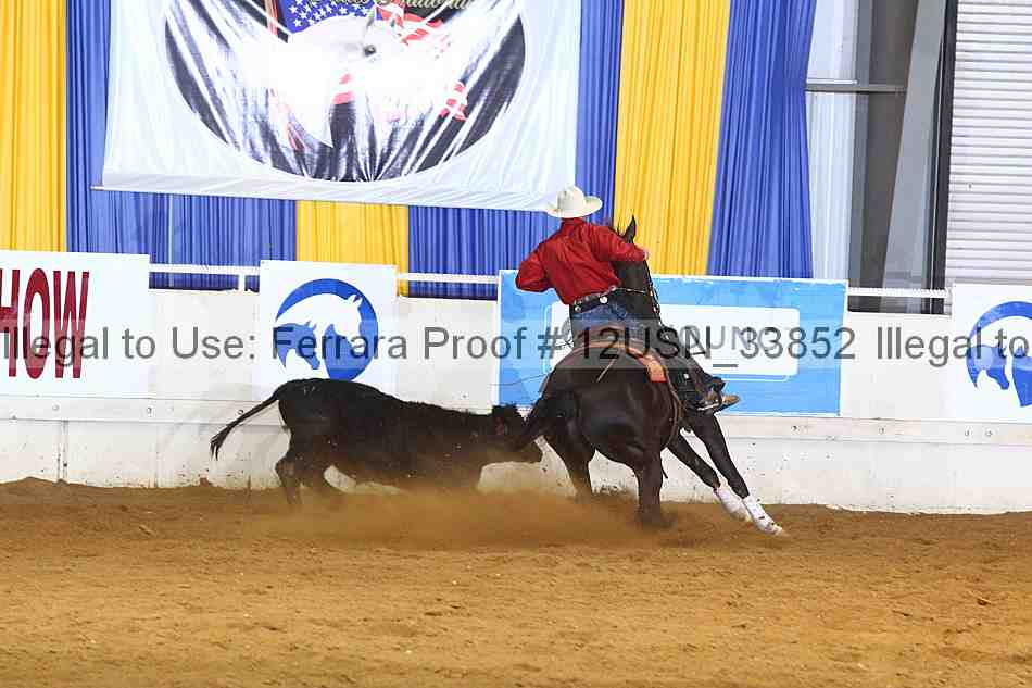 Proof 12usn_33852