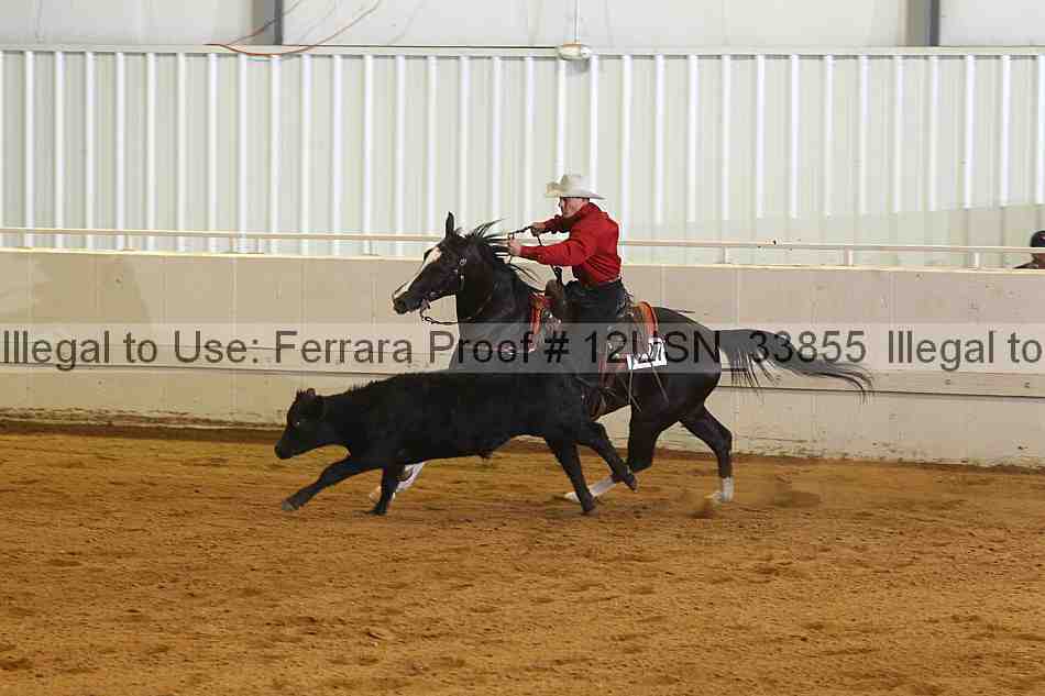 Proof 12usn_33855