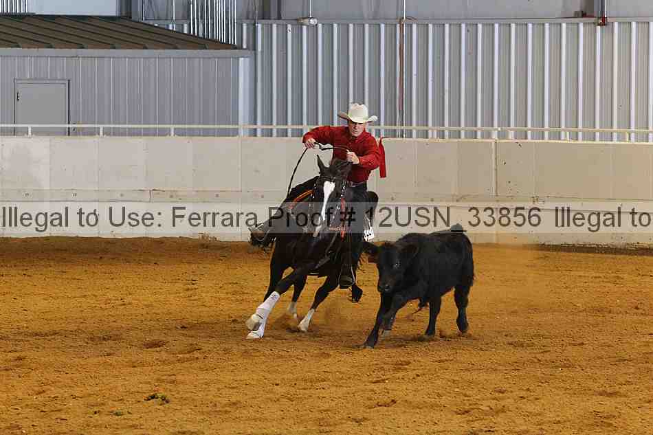 Proof 12usn_33856