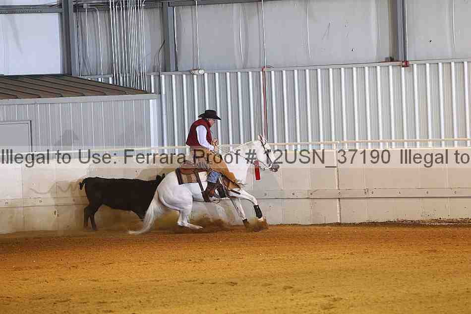 Proof 12usn_37190