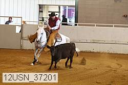 12usn_37201 proof