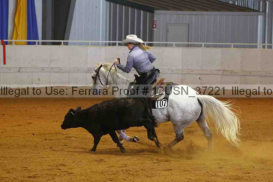 Proof 12usn_37221