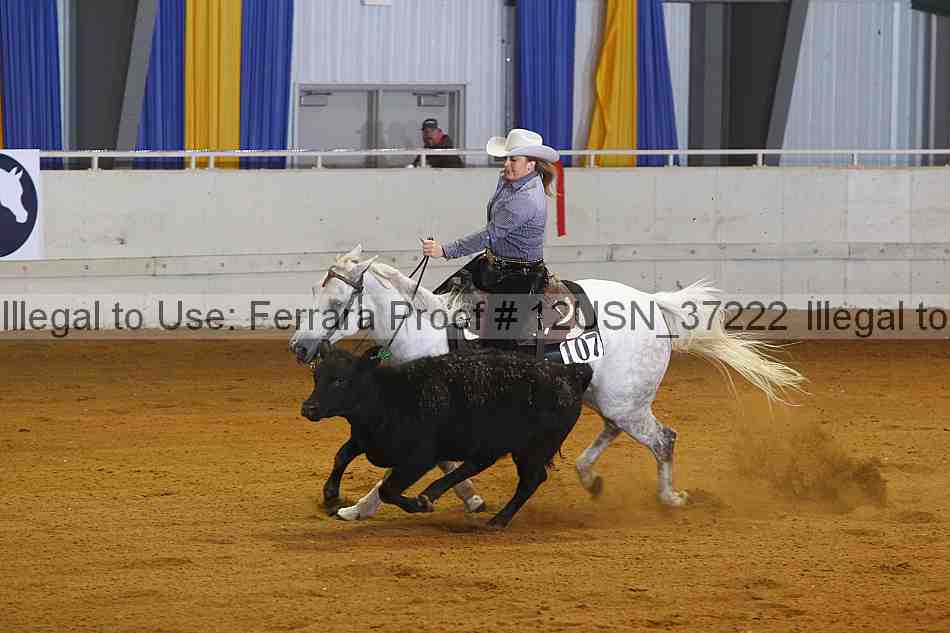Proof 12usn_37222
