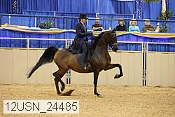 12usn_24485 proof