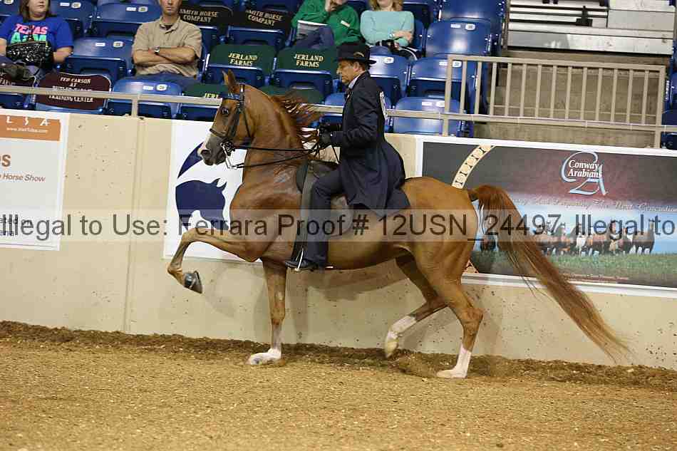 Proof 12usn_24497