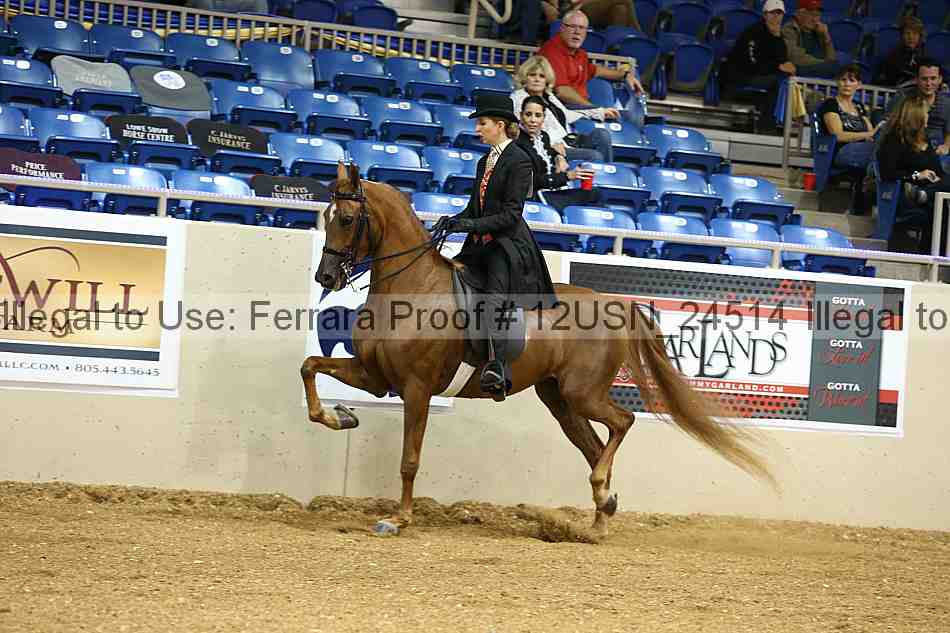 Proof 12usn_24514