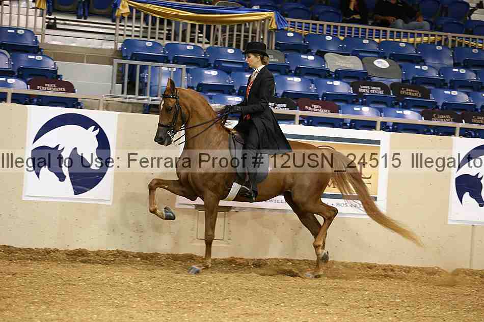 Proof 12usn_24515