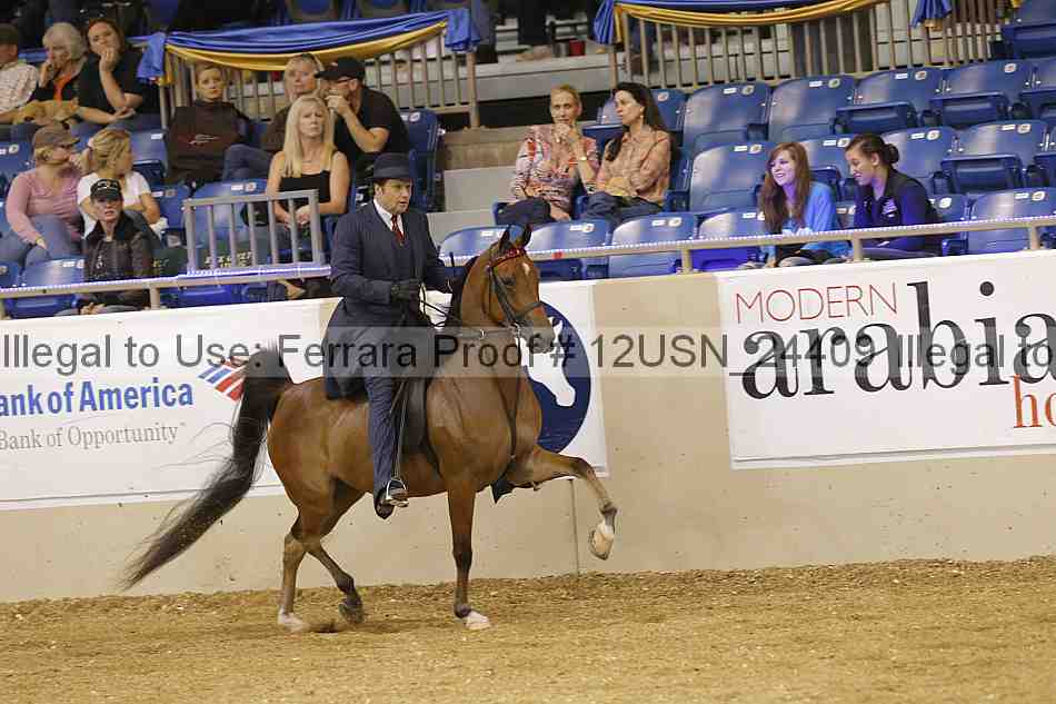 Proof 12usn_24409