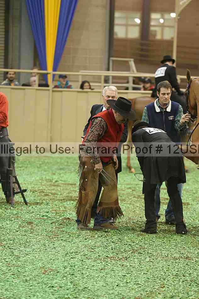Proof 12usn_39325